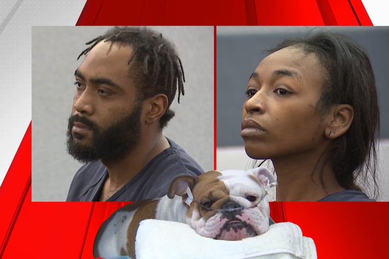 Suspects arrested in bulldog Las Vegas animal cruelty case